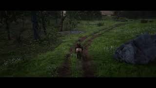 The White Buffalo - The House of The Rising Sun - Red dead Redemption 2 - Legendado e traduzido