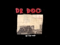 Dr. Dog - "Lonesome"