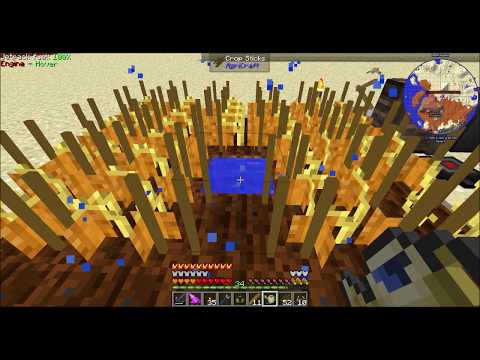 MCEternal Ep26 Pumpkin Rats