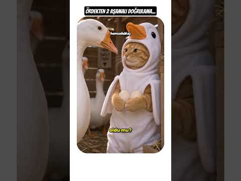 ÖRDEKTEN 2 AŞAMALI DOĞRULAMA!🪿