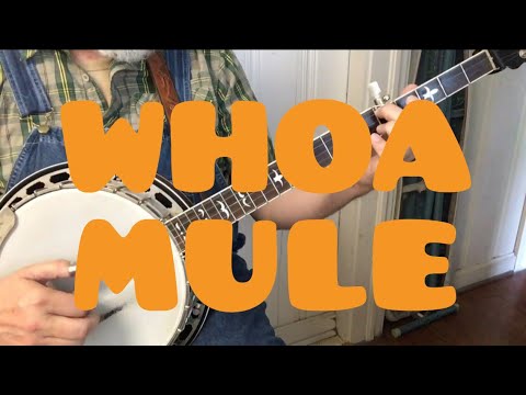 Learn to Play Whoa Mule Whoa - Bluegrass Banjo