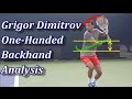 Grigor Dimitrov Backhand Analysis (No Racquet)
