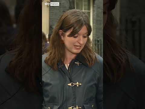 'Brexit betrayal' or just closer ties to EU?