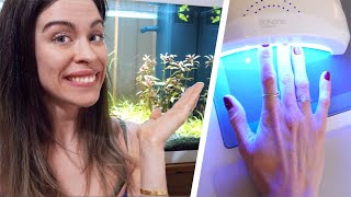 DATE NIGHT & erste BEWOHNER im Aquarium! | Vlog