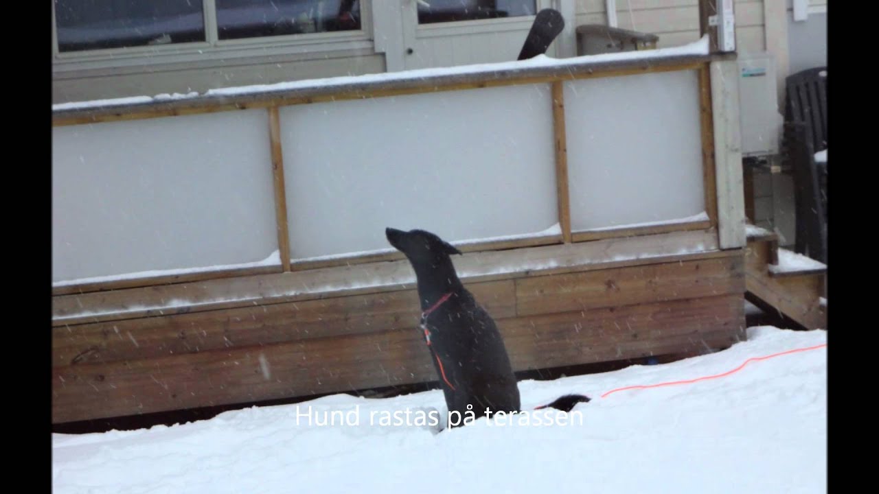 HAMMERFEST 2011.11 - 2012.04.wmv