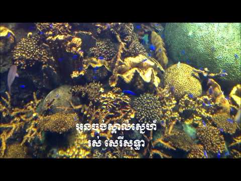 Ros Sereysothea - Oun Jong Skoal Snea - អូនចង់ស្គាល់ស្នេហ៍