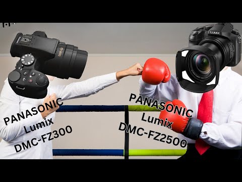 Panasonic FZ300 vs. FZ2500 The Gloves are off!