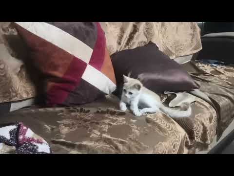 njagaluda verunnukaren