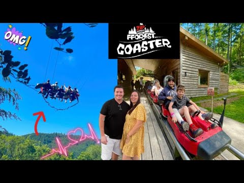 ZIP World Fforest coaster & skyrider
