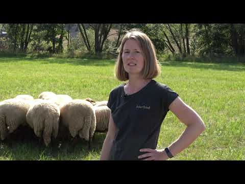 Erntedankfest in Wetter (Hessen)