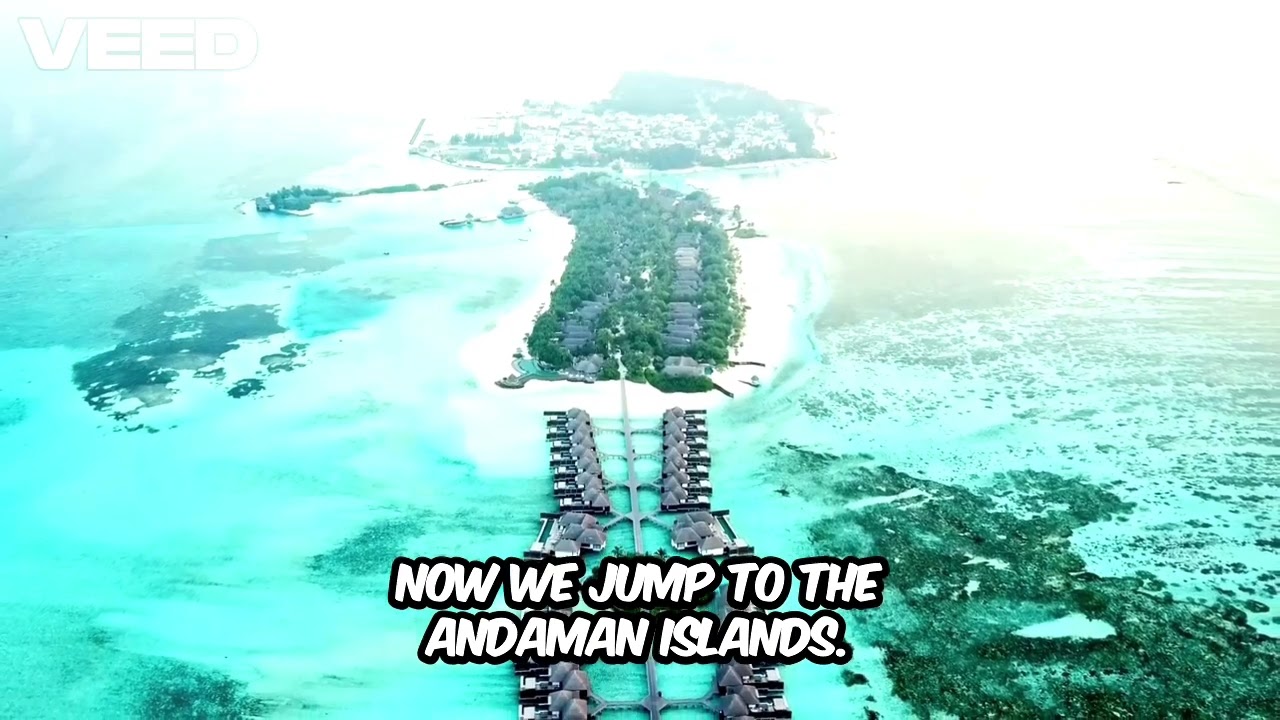 Tropical evergreen forests 