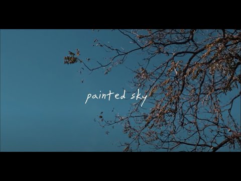 Painted Sky - Wise Disguise