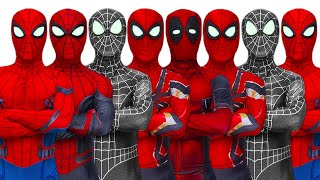 ALL SUPERHEROS STORY | SPIDER-MAN Journeys to find new SUPERHEROS (Full Episode) | Funny Video video