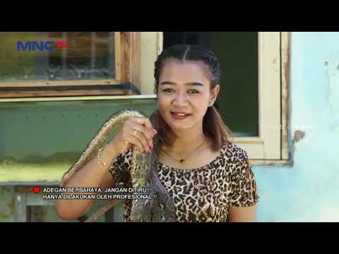 PRIMADONA PANTURA MNCTV || SAAT BERKOMPETISI AJANG PENCARIAN BAKAT