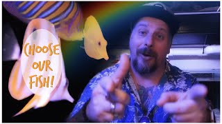Choosing New Marine Fish - Tangs, Angelfish, Anthias, Wrasse & More