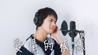 [心得] 愛情的模樣 & 翻唱分享 - 都化成了光亮