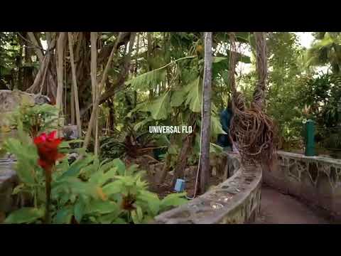 univer$al flo ft Mr Hitz