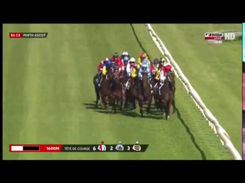 2017 Railway Stakes - Great Shot (1600M - Ascot)