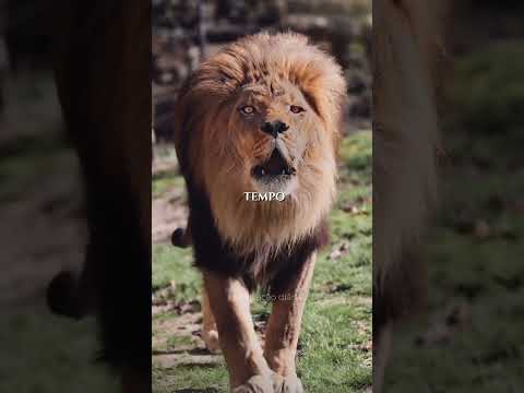 Aqui estão três passos para ter uma mente inabalável.