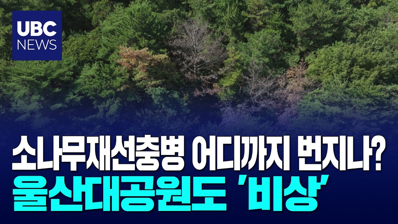 국가도시공원 도전 앞두고, 대공원 재선충 비상