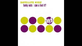 Satellite idz - Can U Feel It (Original Mix) [Tidy]