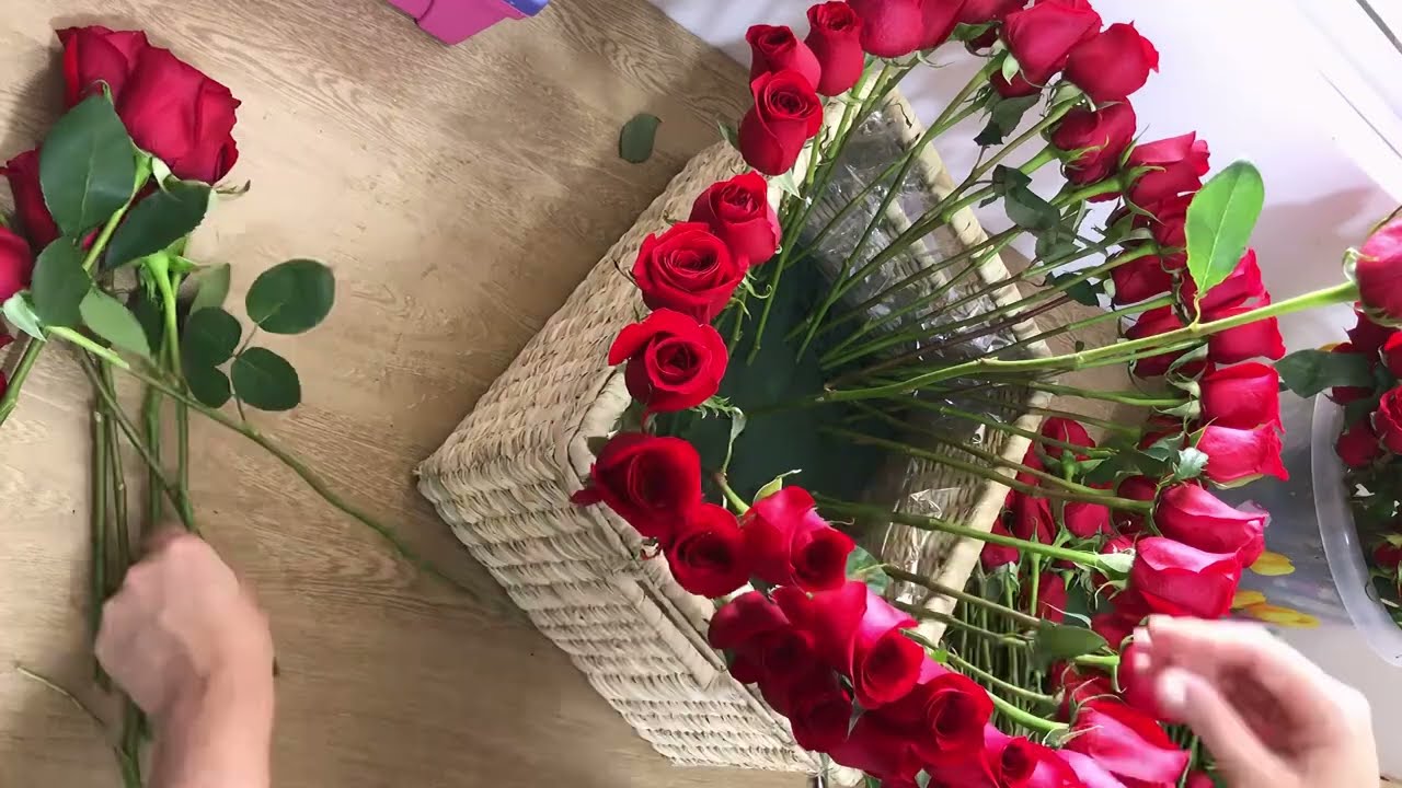 Watch 200 ROSAS EN CANASTA, FLOWERS, FLEURS, ROSES 🌹🌹🌹 #regalos #arreglofloral #detalles #amor #rosas Now 200 ROSAS EN CANASTA, FLOWERS, FLEURS, ROSES 🌹🌹🌹 #regalos #arreglofloral #detalles #amor #rosas
