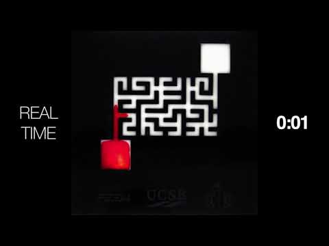 Soap opera in the maze: Geometry matters in Marangoni flows