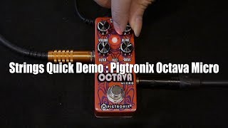 Video thumbnail for Strings Quick Demo : Pigtronix Octava Micro by Strings Shop