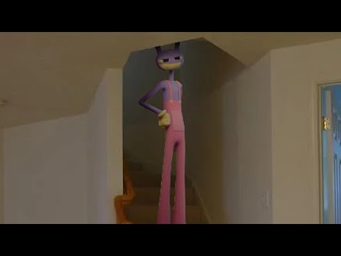 Jax invades your home