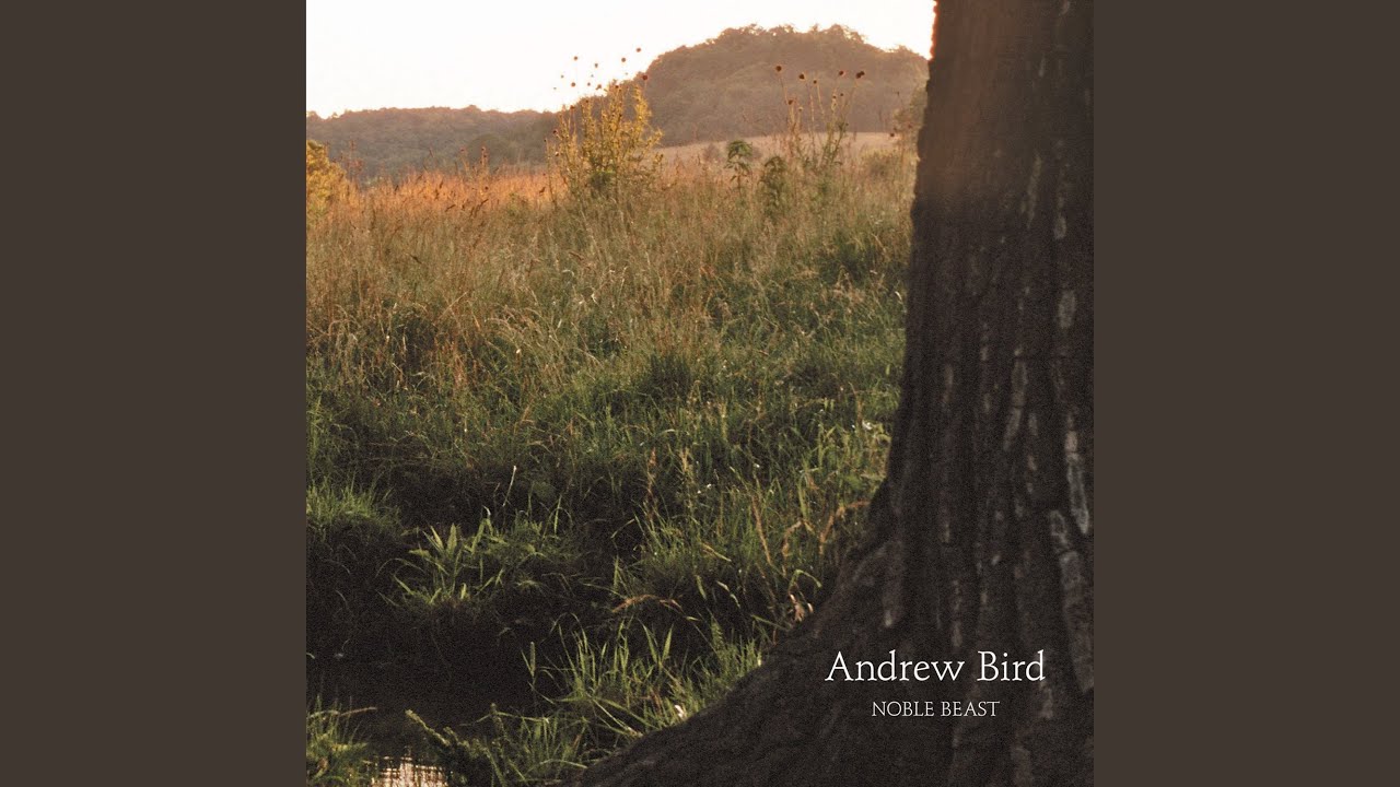Andrew Bird - Masterswarm