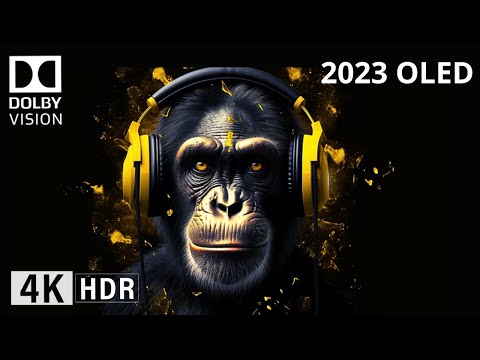 Oled Demo 2023, Dolby, THX, DLP Intros, DOLBY ATMOS SOUND DESIGN, 4K HDR 60FPS Dolby Vision.