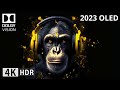 Oled Demo 2023 Dolby THX DLP Intros DOLBY ATMOS SOUND DESIGN 4K HDR 60FPS Dolby Vision