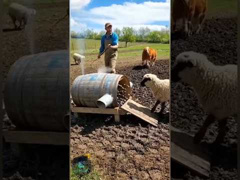 Cute German Dancing Cactus Electric Plush Toy 🧸635