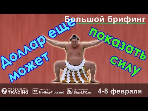 🌅 БОЛЬШОЙ брифинг | 4 - 8 февраля | 📈Прогноз рынка FOREX, FORTS, ФР
