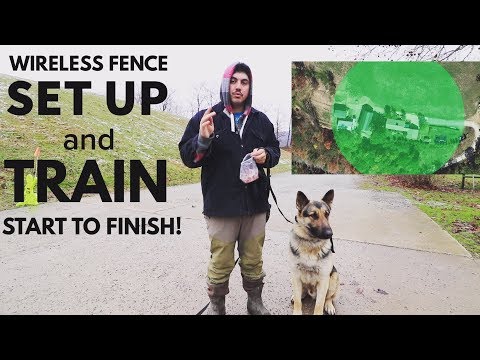 How To Setup and Train A Dog To a Wireless Invisible Fence (PetSafe Stay and Play)