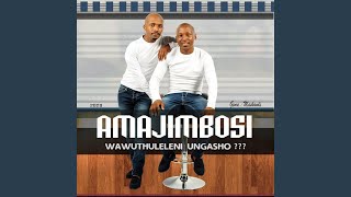 Download lagu Inzima Lendlela mp3