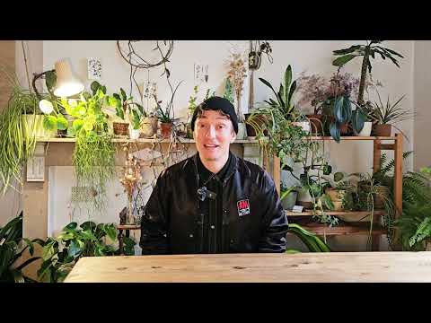 パート4 ジャズ＆リンディホップのトレーニング - ジャム・セッション (Part 4 - Training Jazz & Lindy Hop - Jam Sessions)