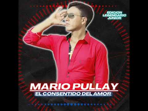 Mario Pullay ( Consentido del Amor ) Tema: Wuarmi Pencionera "Audio Oficial"