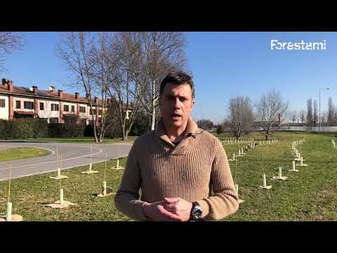 Forestami 2022 - Intervista al Sindaco G. Guala e all'Assessore all'Ambiente C. Blundo - Colturano