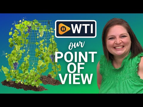 Jxrhy Garden Trellis - WTI product video review