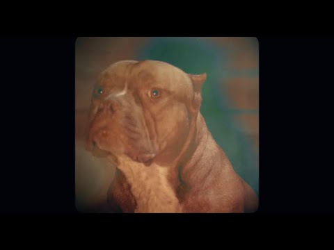 MojiU4l - Some Shit in New York (Official Video) shot by @Kodygracee x Edited by @RemyAllure