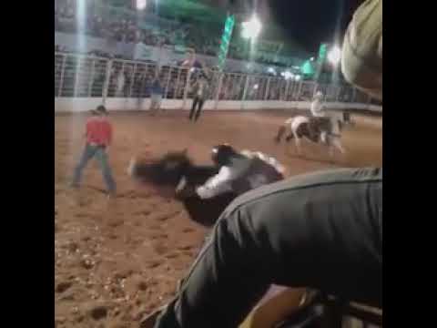 Bomba Relógio - Euripinho Sollo