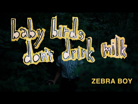 Baby Birds Don't Drink Milk - Zebra Boy (Official Music Video)