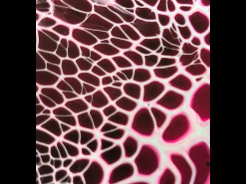 # 45 Bloom Technique, Acrylic Pouring on 6 inch Tiles