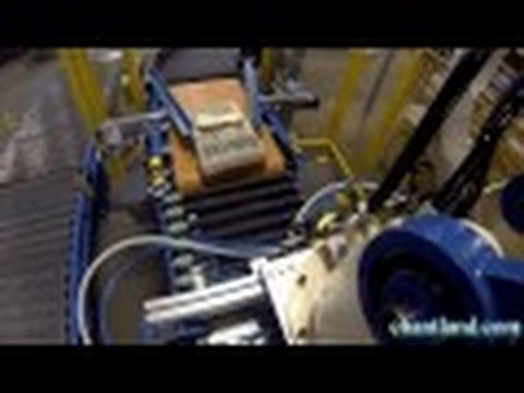 Image of Chantland MHS Robotic Palletizer - Bag View