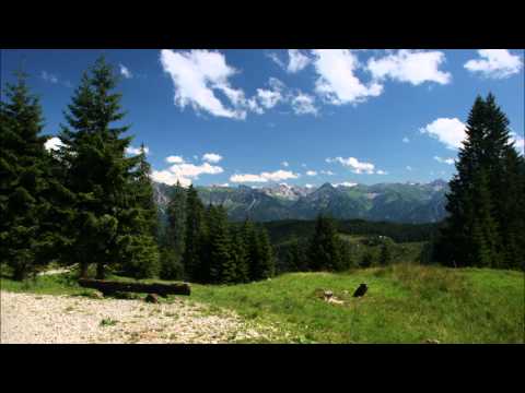 Spitzbuben-Polka - Allgäu - Volksmusik - steirische Harmonika