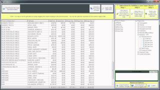 DELPHI/PBS Super Report Advanced Options.avi
