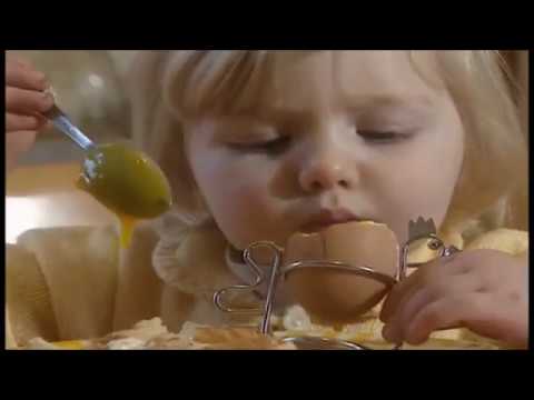 jamies thinking time series 1 episode 117 becky and jed find eggs