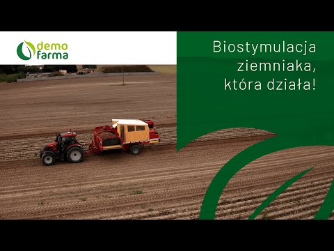 Film na temat: { video.title }}