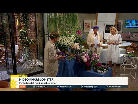 Svensk dryckeskultur: ”Alkoholfritt är den nya trenden” - Nyhetsmorgon (TV4)